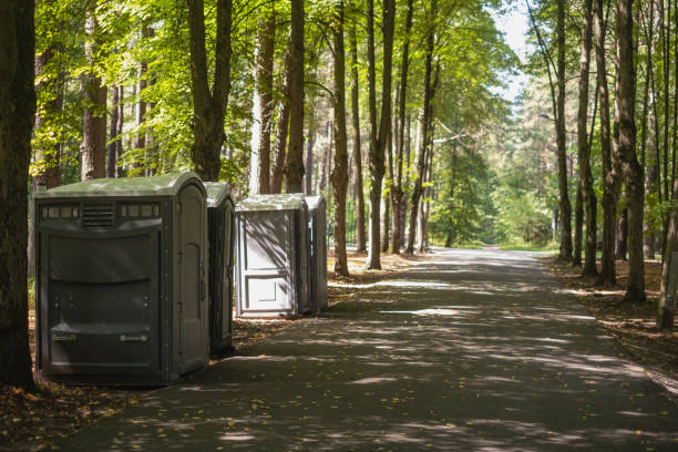 Best High-end porta potty rental  in Mayville, MI